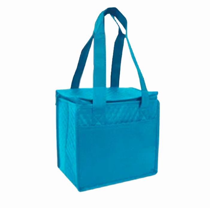 Case Lot: 100 pcs Compact Snack Pack Cooler  ||| 100 PACKS | $3.29 PER PACK