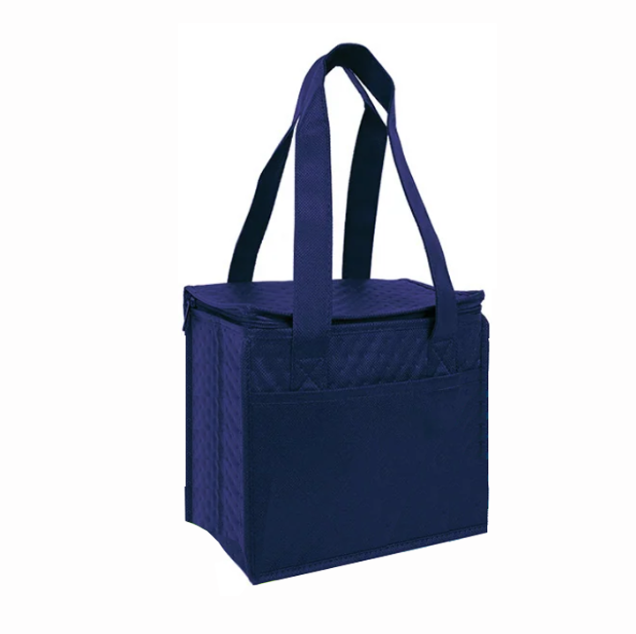 Case Lot: 100 pcs Compact Snack Pack Cooler  ||| 100 PACKS | $3.29 PER PACK