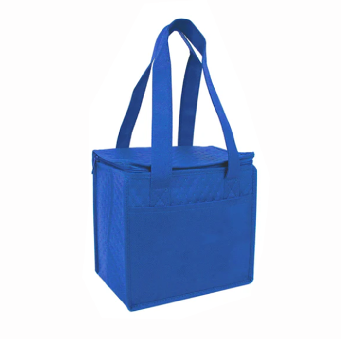 Case Lot: 100 pcs Compact Snack Pack Cooler  ||| 100 PACKS | $3.29 PER PACK